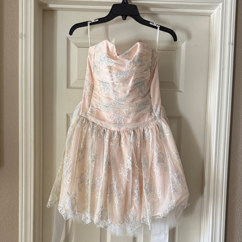 Jessica McClintock Blush Pink and Silver Embroidered Tulle Mini Dress